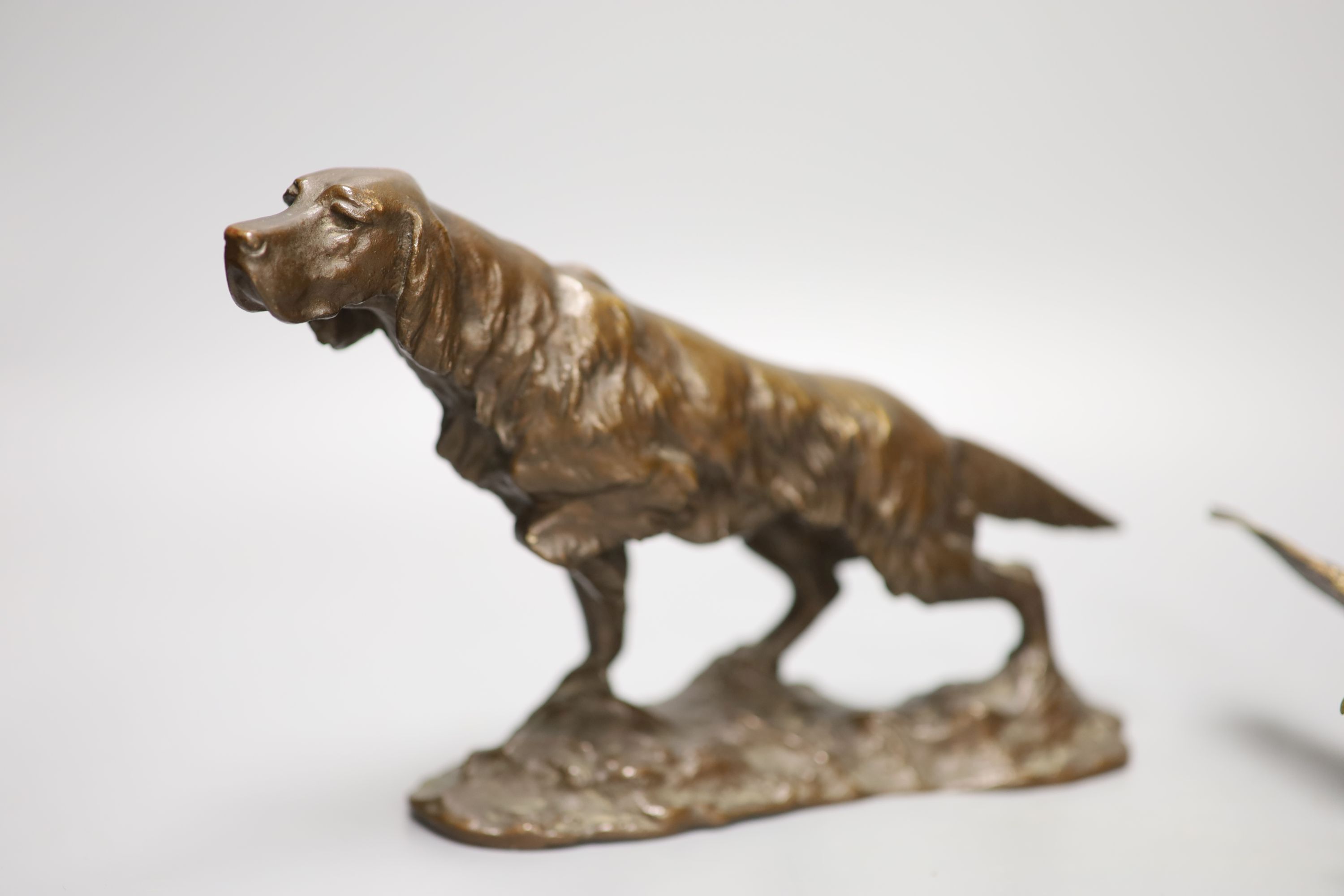 A bronze model of a setter, length 24cm, and a small cold-painted bronze figure of an eagle,